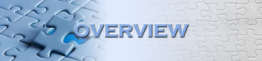 Module Overview